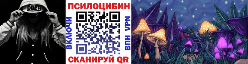 Галлюциногенные грибы Cubensis  магазин продажи   Боровск 